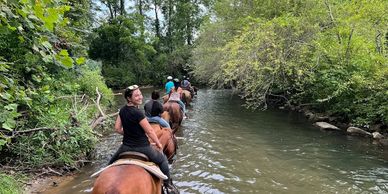 People horseback riding along a river surrounded by lush greenery.