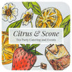 Citrus & Scone