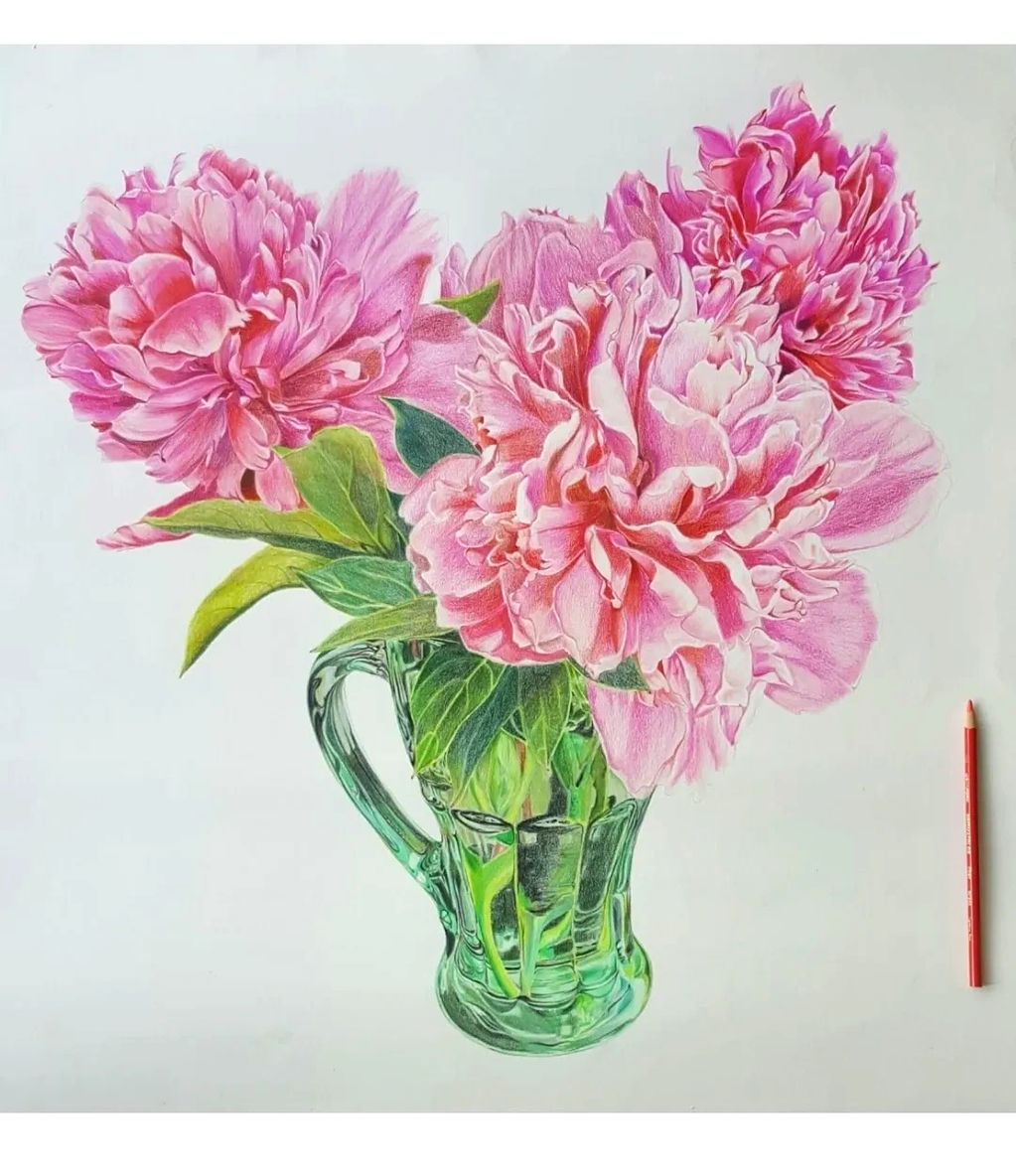Peony drawing large