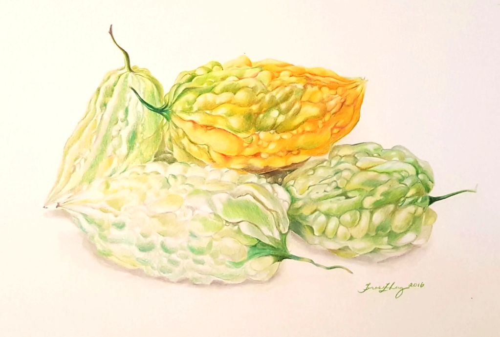 Bitter melon drawing circa 2016