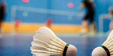 Atlanta Badminton Open