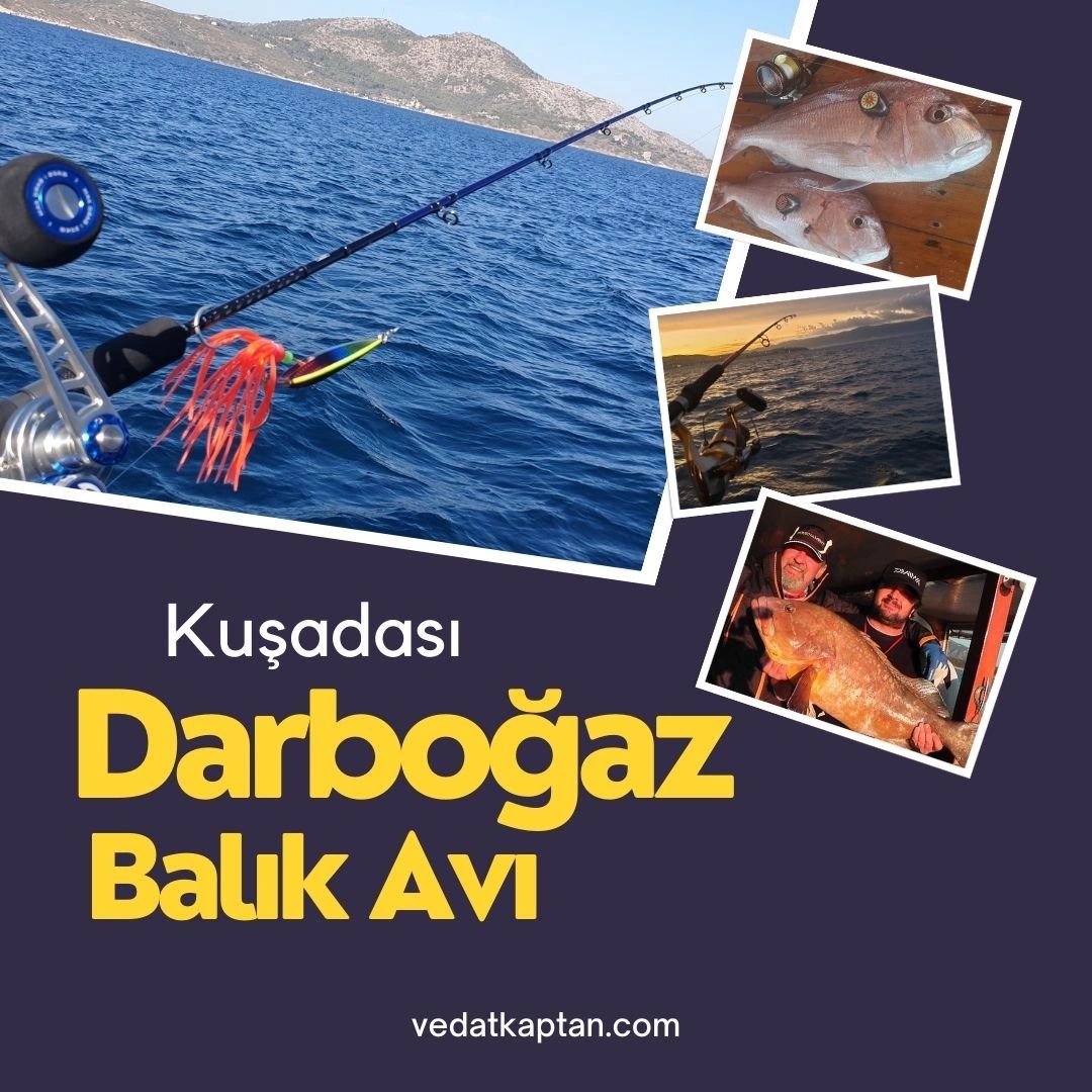 Kuşadası Darboğaz Balık Avı, Vedat Kaptan, Kuşadası Balık Avı