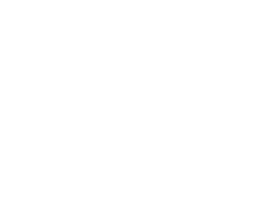 Rhinelander Pub