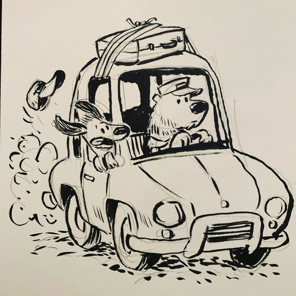 Taxi bear