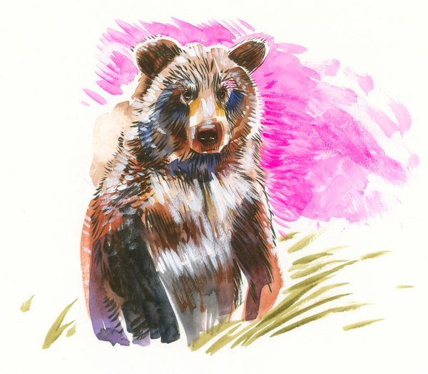 Grizzly bear in wild watercolor