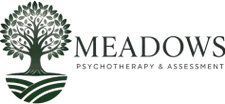 Meadows Psychotherapy & Assessment 