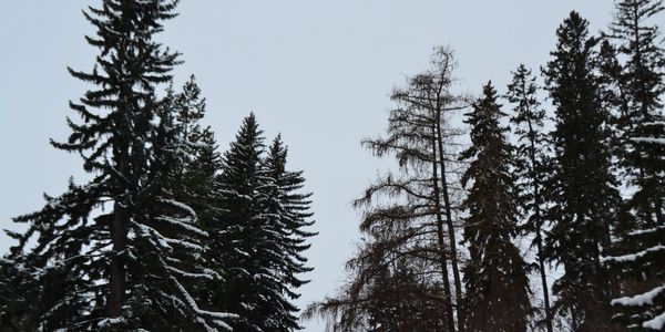 Lacombe Alberta, 2017