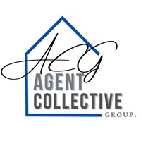 Agent Collective Group