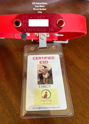 Emotional support dog package. Collar and identification.