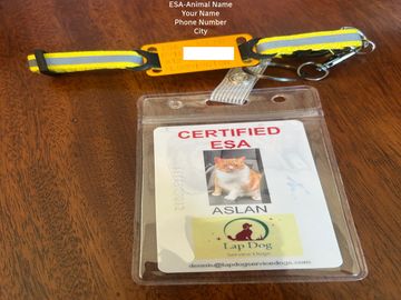 Emotional support cat package. Collar and identification.