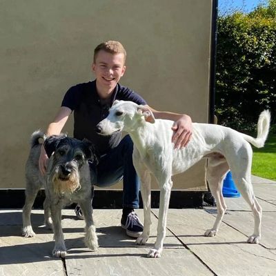 Daniel with a schnauzer and pointer