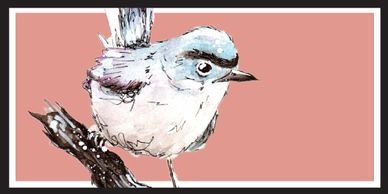 Blue Gray Gnatcatcher