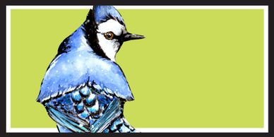 Blue Jay