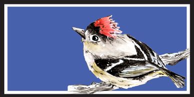 Ruby Crowned Kinglet