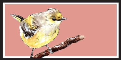White Eyed Vireo