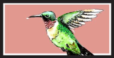 Ruby-Throated Hummingbird