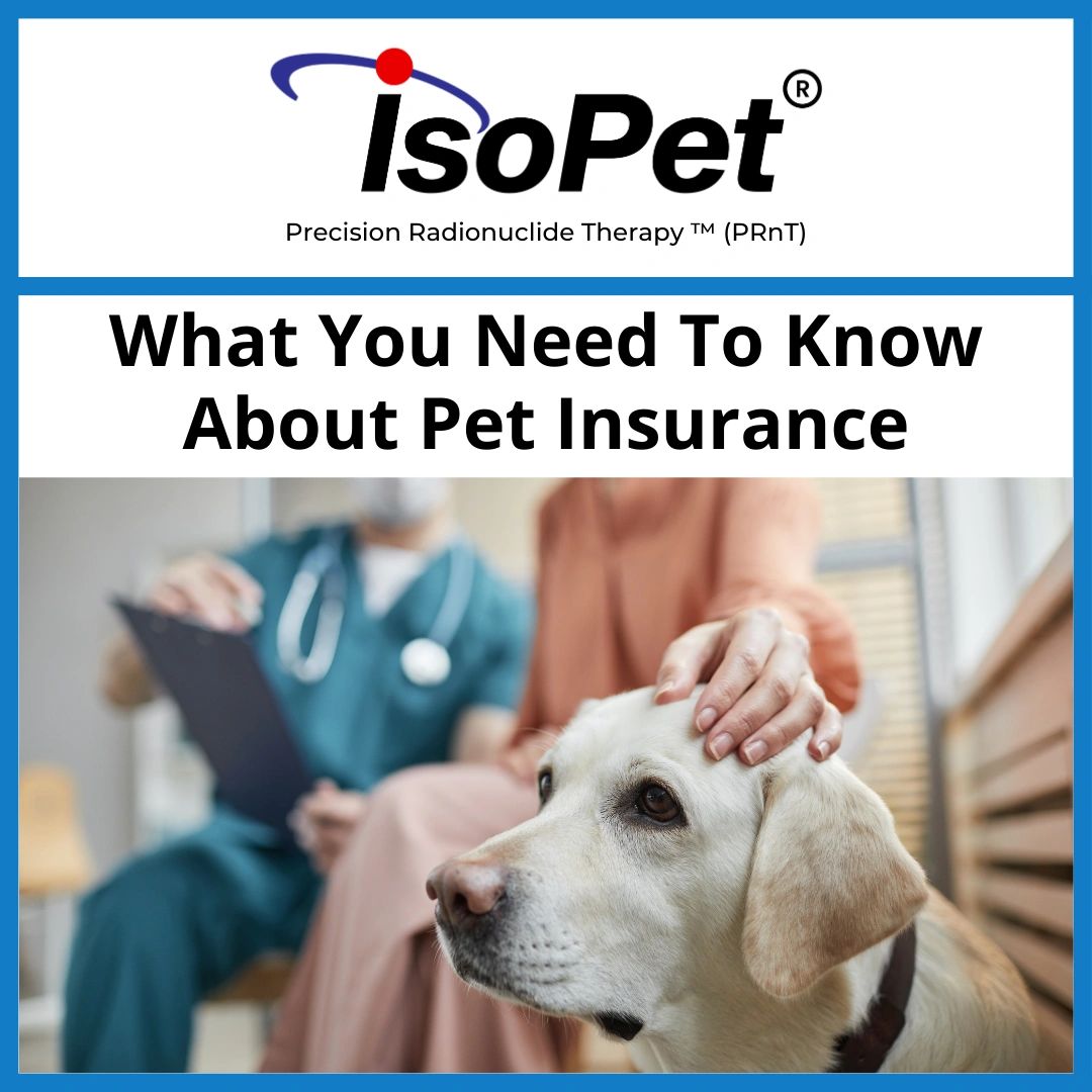 Pet Ownership Insurance Everything You Need To Know 