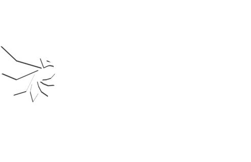 NC Consulting Solutions