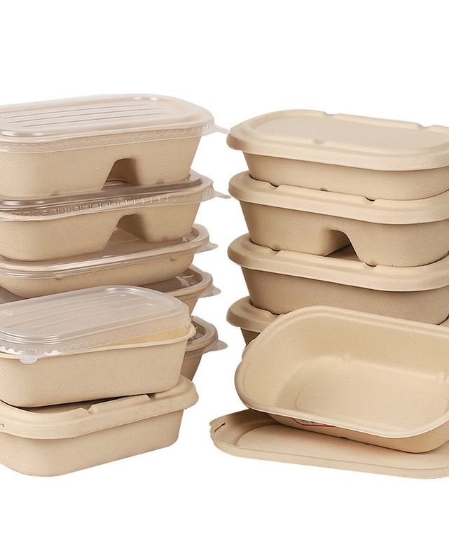 disposable paper pulp lunch box wheat