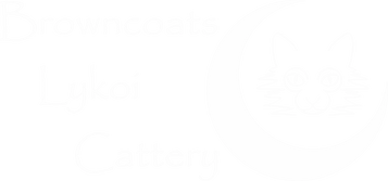 Browncoats Lykoi Cattery