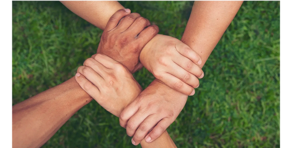 Four hands of diverse individuals firmly holding each other's wrists in unity.