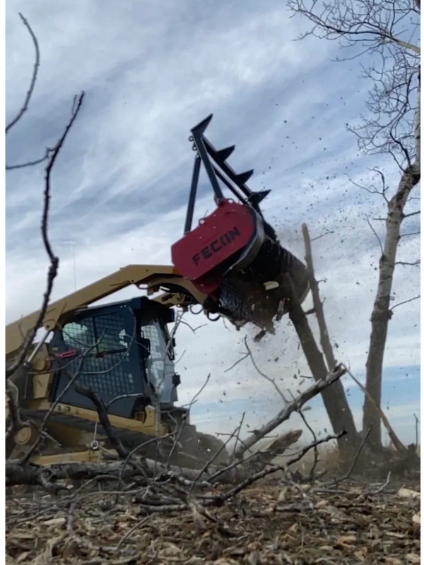 Fecon Mulcher cutting a tree.