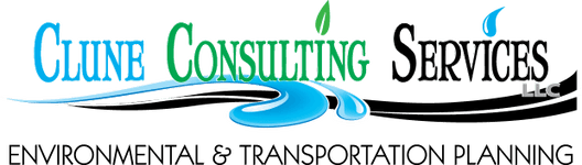 Clune Consulting Services, LLC