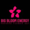 Big Bloom Energy