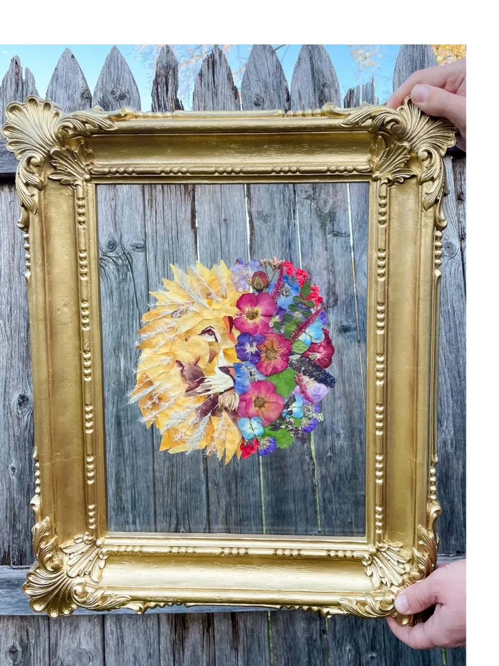Pressed flower lion between glass, in a vintage gold frame.
