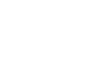 Bawi the Company