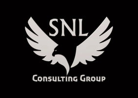 SNL Consulting Group LLC