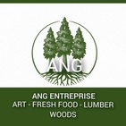 ANG ENTREPRISE
