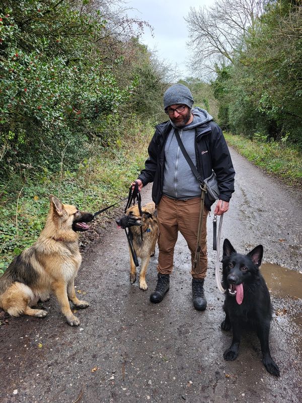Adam standing with three German Shepherd dogs on leads