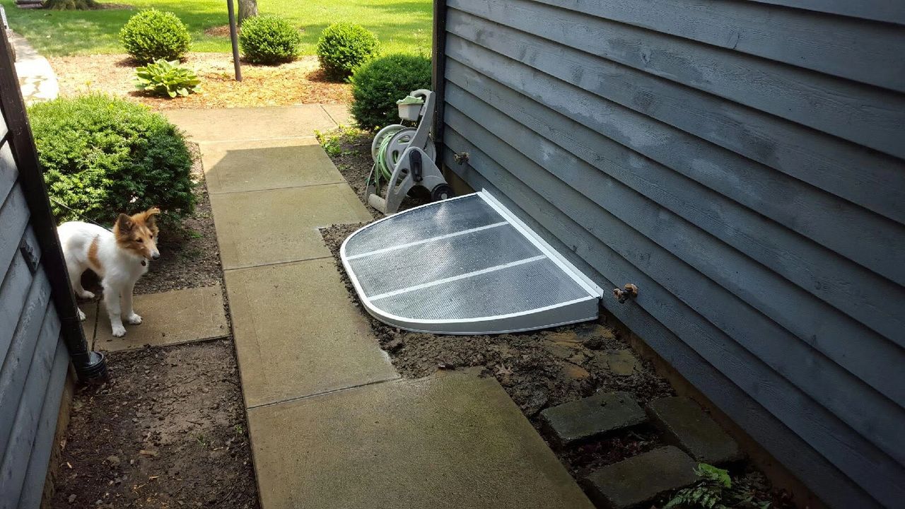 egress window system showing dog and cover
