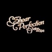 Shear Perfection Salon & Spa