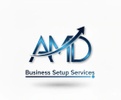 AMD Business Setup Services