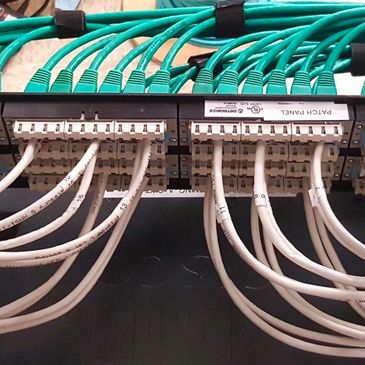 Network patch panel with organized Ethernet cables.