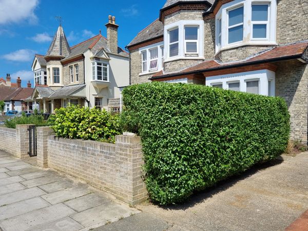 a beautiful neighbourhood with green fences