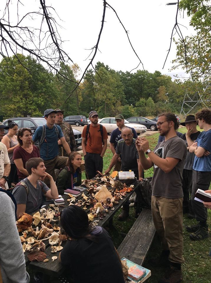 Minnesota DNR Proposed Rule Changes Foraging minnesota-dnr-proposed-rule-changes-foraging