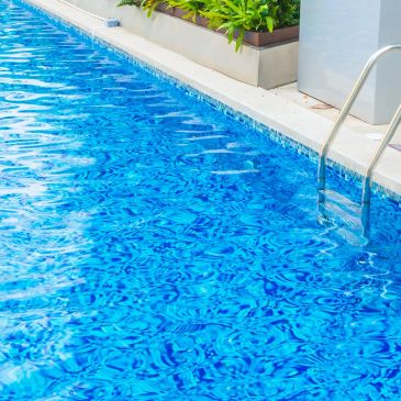 Una piscina limpia con escaleras y plantas.