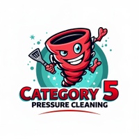 Cat 5 Pressure Cleaning