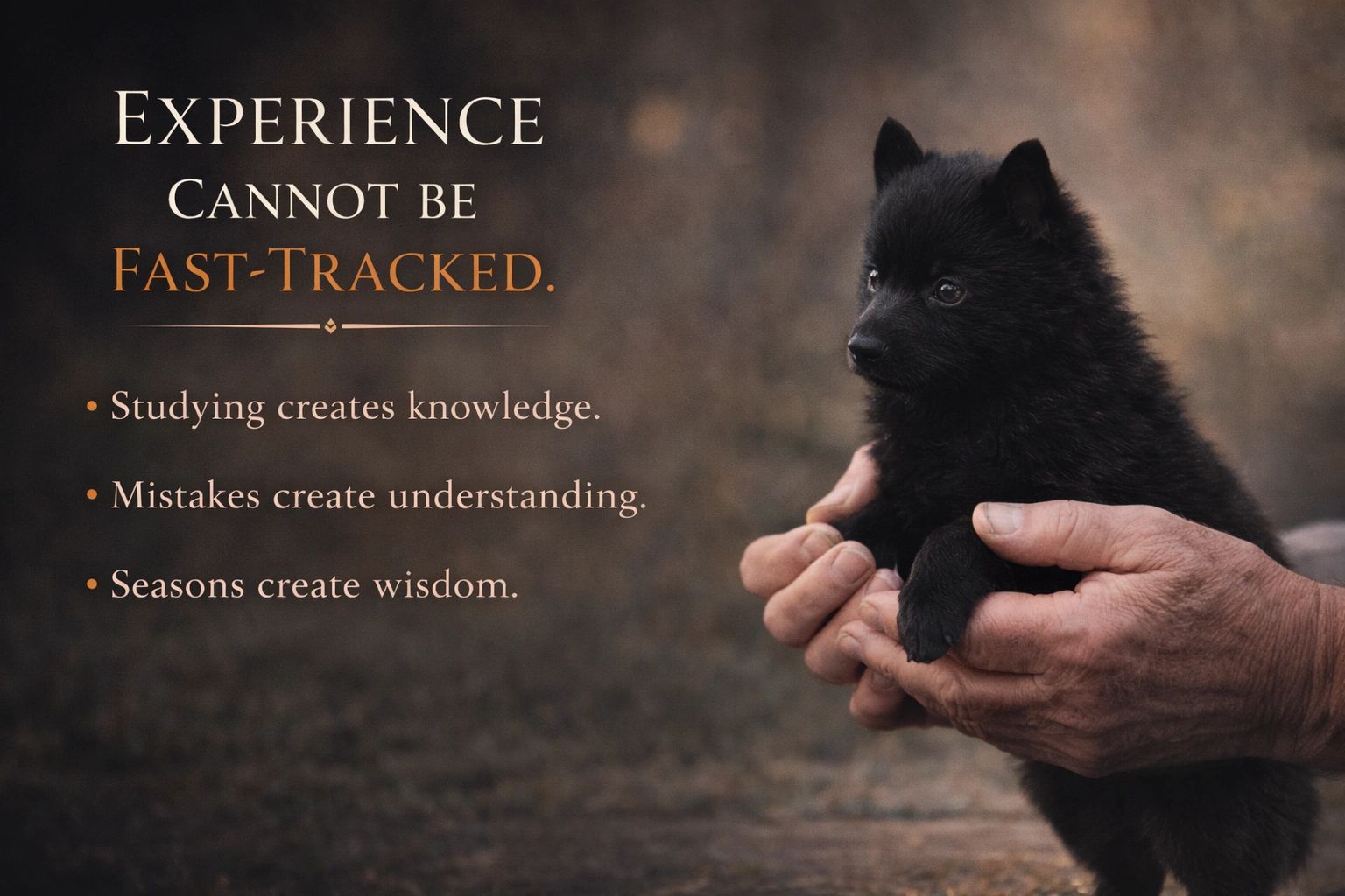 Experience Cannot Be Fast-Tracked