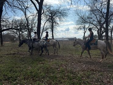 Three people riding horses on a grassy area with trees.