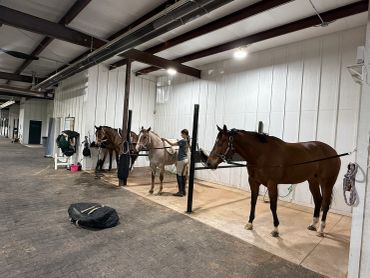 Horses lined up in an indoor stable.