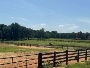 A peaceful pasture with fenced fields and a horse.