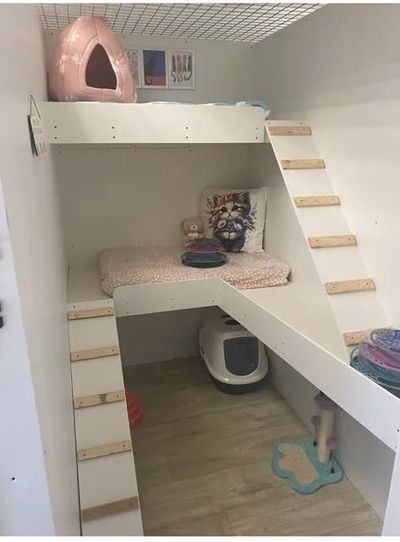 🐈 Cosy Clean and Purr-fectly Peaceful. Welcome To Our Cat Chalet 