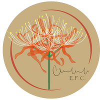 Etienne Peirsman Craniosacral 