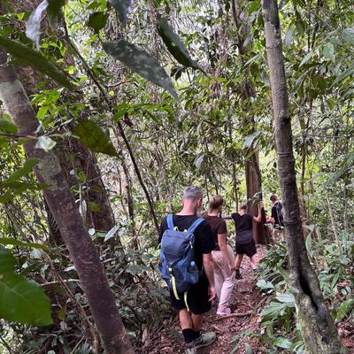 Visitors trekking through the rainforest of Bukit Lawang, Sumatra.