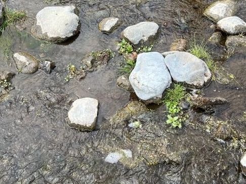 picture of rocks in stream