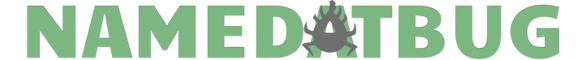 NameDatBug Consulting